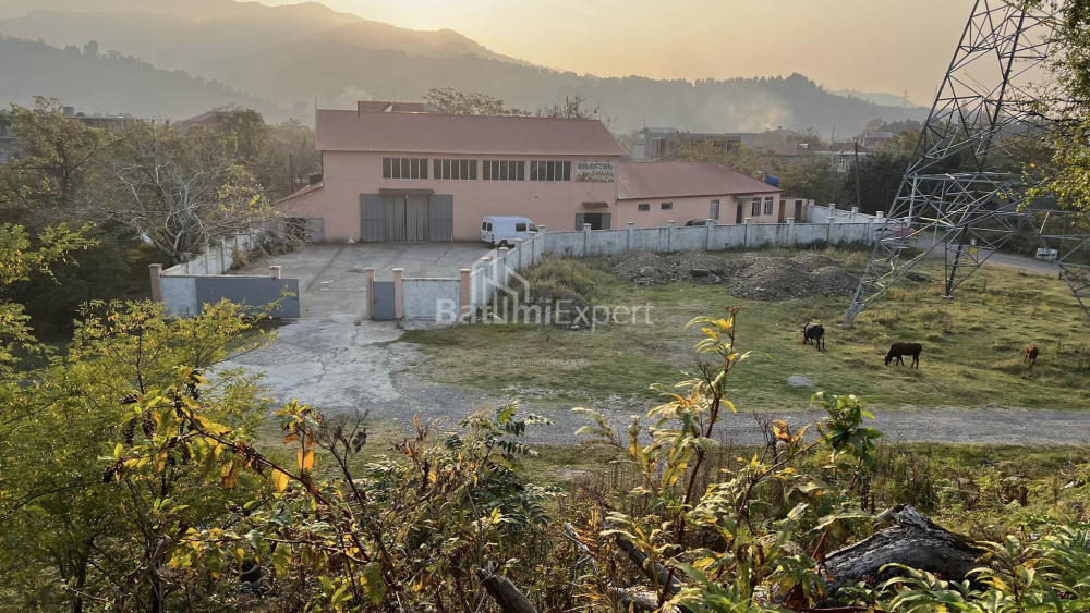 Obszar produkcji 2320 m² - Akaki Shainidze, Khelvachauri, Gruzja
