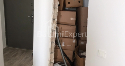 Mieszkanie 48 m² - Palawandiszwili, Batumi, Gruzja