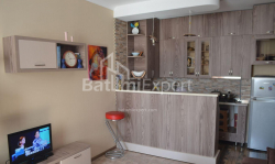 Mieszkanie 3-комн 64 m² - Szałwa Inasaridze, Batumi