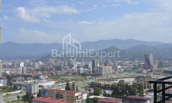 Mieszkanie 1-комн 31 m² - Niko Pirosmaniego, Batumi