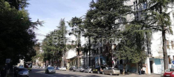 Mieszkanie 3-комн 61 m² - Nikołoz Barataszwili, Batumi