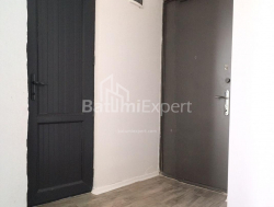 Mieszkanie 2-комн 48 m² - Aleksandra Puszkin, Batumi