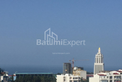 Mieszkanie 2-комн 42 m² - Ilja Czawczawadze, Batumi