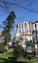 Mieszkanie 1-комн 45 m² - Dawid Kladiaszwili, Batumi