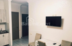 Mieszkanie 2-комн 40 m² - Tbel-Abuseridze, Batumi