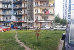 Mieszkanie 1-комн 286 m² - Szeryf Chimsziaszwili, Batumi