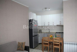 Mieszkanie 3-комн 65 m² - Szałwa Inasaridze, Batumi