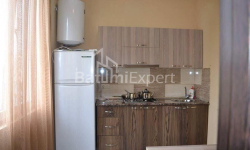 Mieszkanie 3-комн 43 m² - Aleksandra Gribojedowa, Batumi