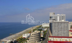 Mieszkanie 1-комн 28 m² - Juriewskaja, Batumi