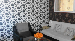 Mieszkanie 3-комн 65 m² - Niko Pirosmaniego, Batumi