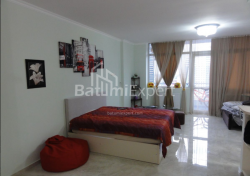 Mieszkanie 1-комн 50 m² - Niko Pirosmaniego, Batumi