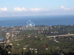 Dom prywatny 6-комн 5000 m² - Mezgwarta, Chakvi