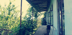 Dom prywatny 3065 m² - Agmaszenebeli, Chakvi, Gruzja