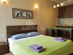 Mieszkanie 1-комн 29 m² - Zuraba Gorgiladze, Batumi