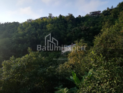 Dom prywatny 4-комн 2501 m² - Akaki Shainidze, Khelvachauri