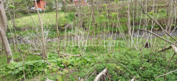 Obszar handlowy 401 m² - Mezgwarta, Chakvi, Gruzja