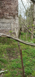 Obszar handlowy 401 m² - Mezgwarta, Chakvi, Gruzja