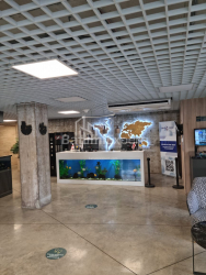 Mieszkanie 42 m² - Adlia, Batumi, Gruzja