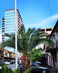 Mieszkanie 80 m² - Ilja Czawczawadze, Batumi, Gruzja