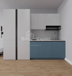 Mieszkanie 1-комн 30.3 m² - Szałwa Inasaridze, Batumi