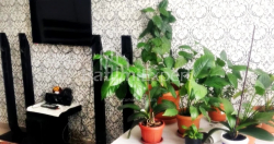 Mieszkanie 64 m² - Selima Chimsziaszwili, Batumi, Gruzja